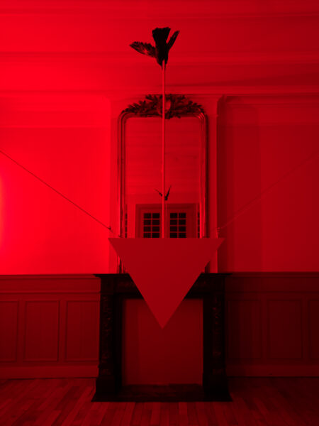 VIOLENCE VERSUS LOVE 