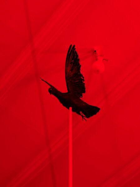 VIOLENCE VERSUS LOVE 