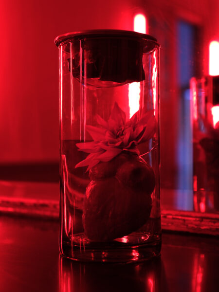 VIOLENCE VERSUS LOVE 