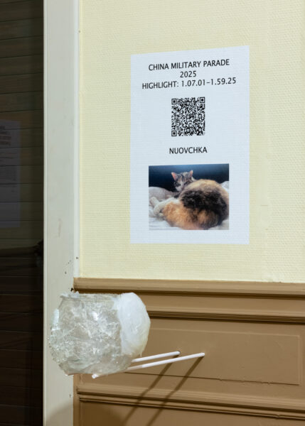 The Pots of Etablissement 